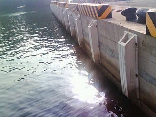 Boating Port of Kaohsiung-W Type Rubber Fender 200x2000-2